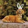 Kitty or Puppy with Bunny Ears, , large