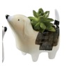 Mini Dog Planter, , large
