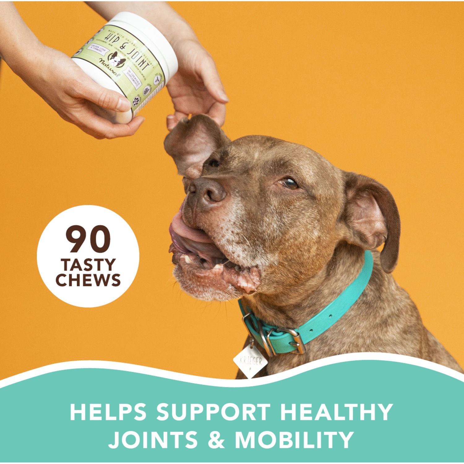 The dog company joint mobility sales