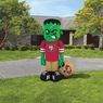 NFL  Inflatable Steinbacker, , large