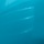 Island Blue