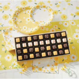 Daisy Party Kit, , large