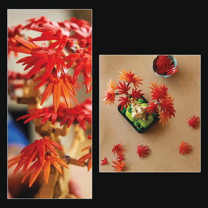 LEGO Botanicals Japanese Red Maple Bonsai Tree, , large