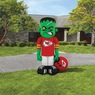 NFL  Inflatable Steinbacker, , large