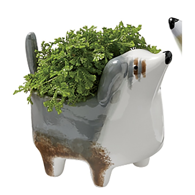 Mini Dog Planter, , large