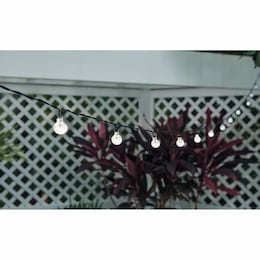 Ideaworks Globe Solar String Lights, , large