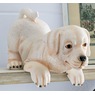 Labrador Shelf Sitter, , large