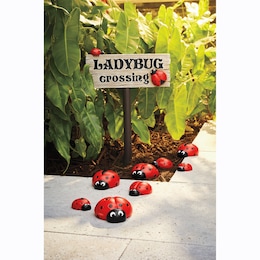 Ladybug Sign &amp; Stones, , large