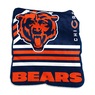 NFL Raschel Plush Throw, , large