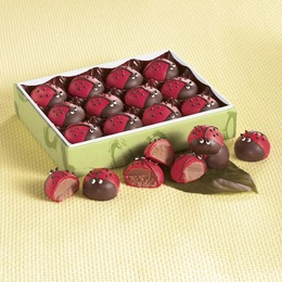 Ladybug Truffles, , large