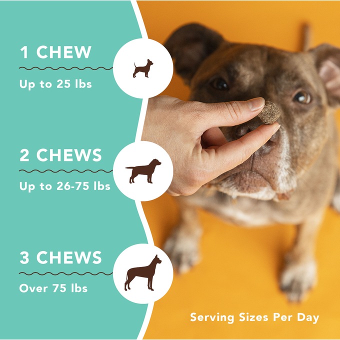 Natural Dog Company Hip Joint Supplement