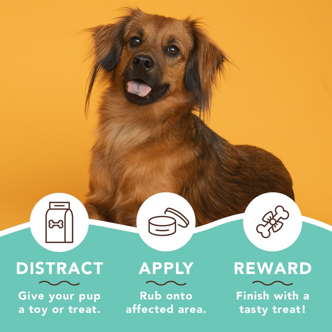 Dog store catalog companies