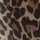 Tawny Leopard