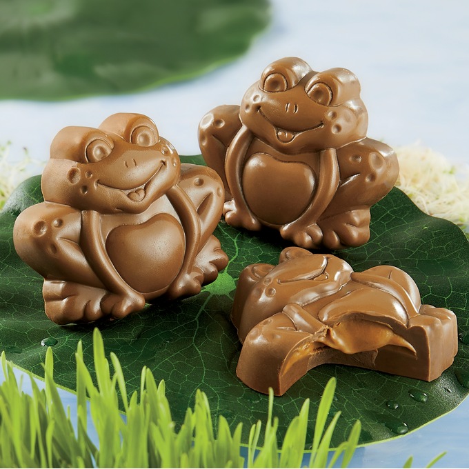 Chocolate frogs on sale