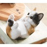 Cat Cell Phone Holder, , large
