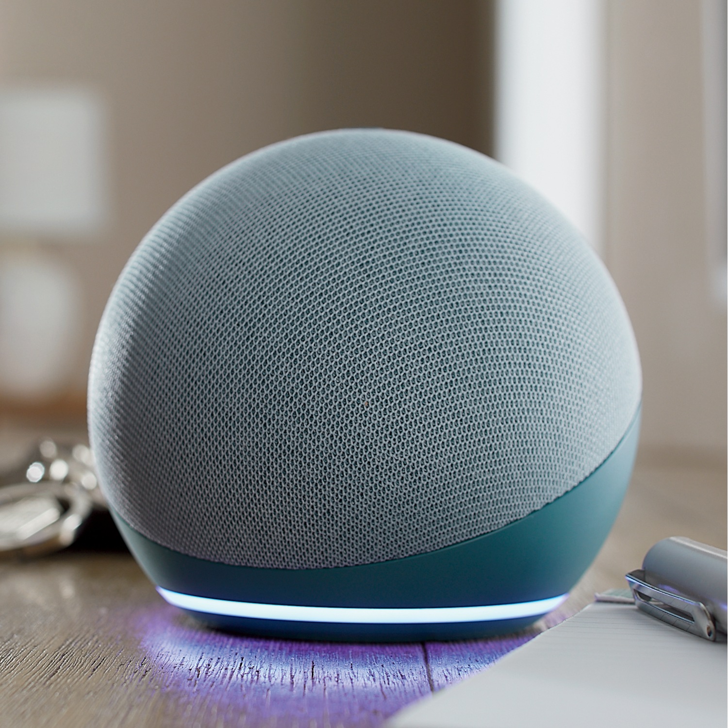Amazon alexa external speakers cheap