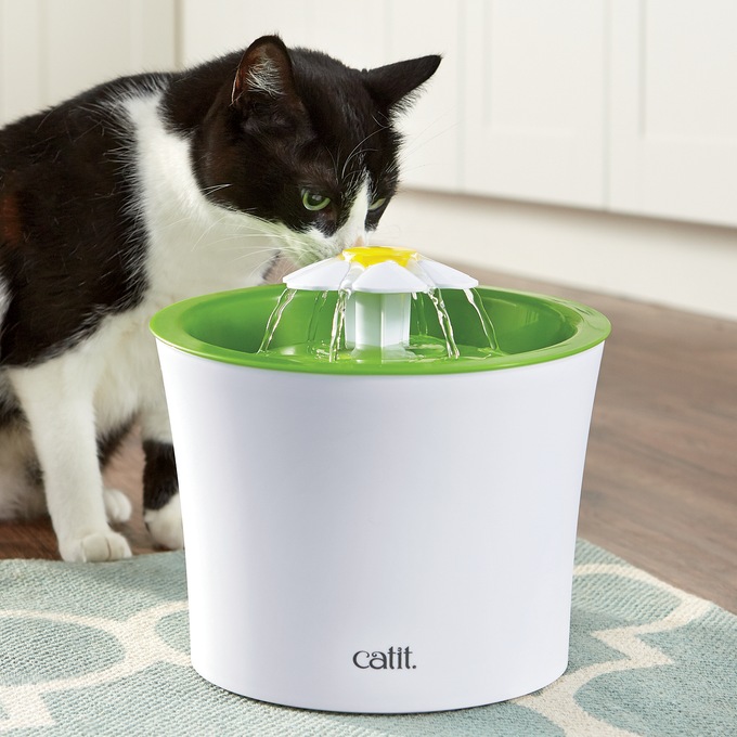 Catit 2 0 Drinking Flower Fountain Swiss Colony