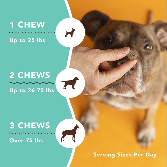 Natural Dog Company Skin Coat Supplement