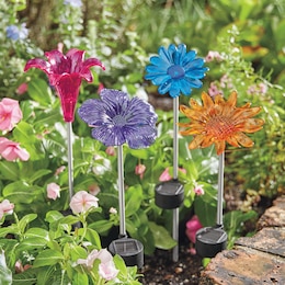 Set of 4 Solar Flowers, , large