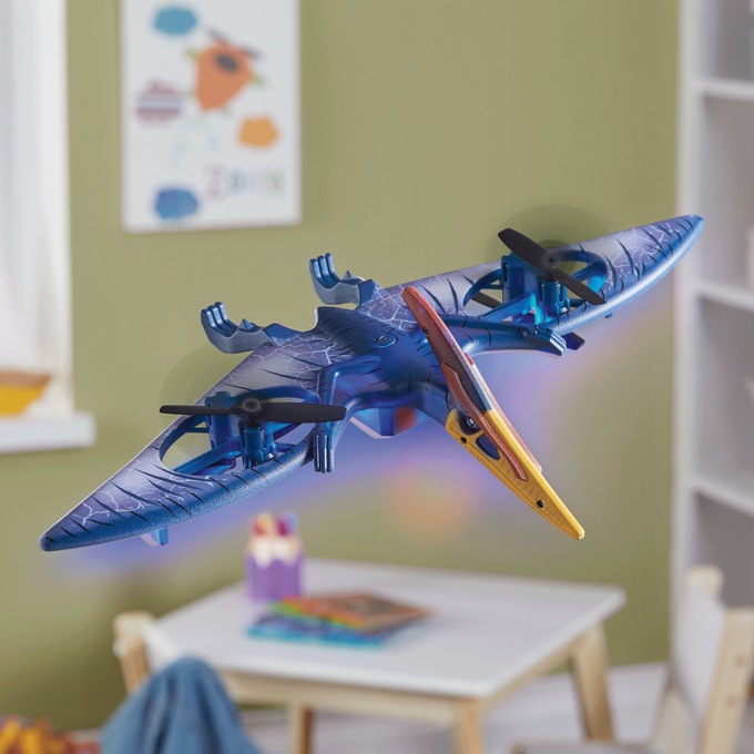 Pterodactyl cheap rc plane