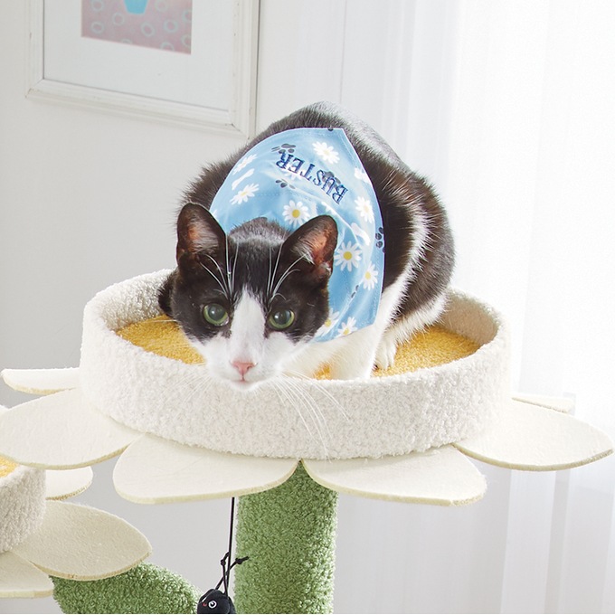 Pet Bandana, , large