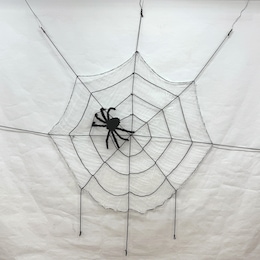 Spider and Web, , large