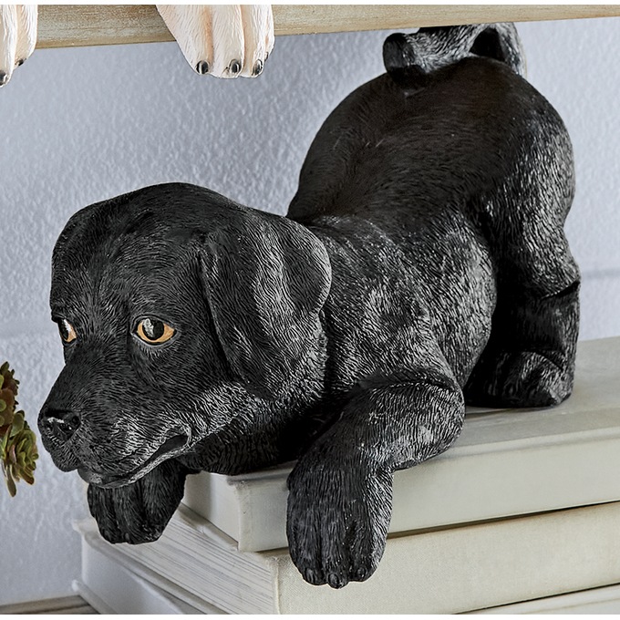 Labrador Shelf Sitter, , large