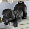 Labrador Shelf Sitter, , large