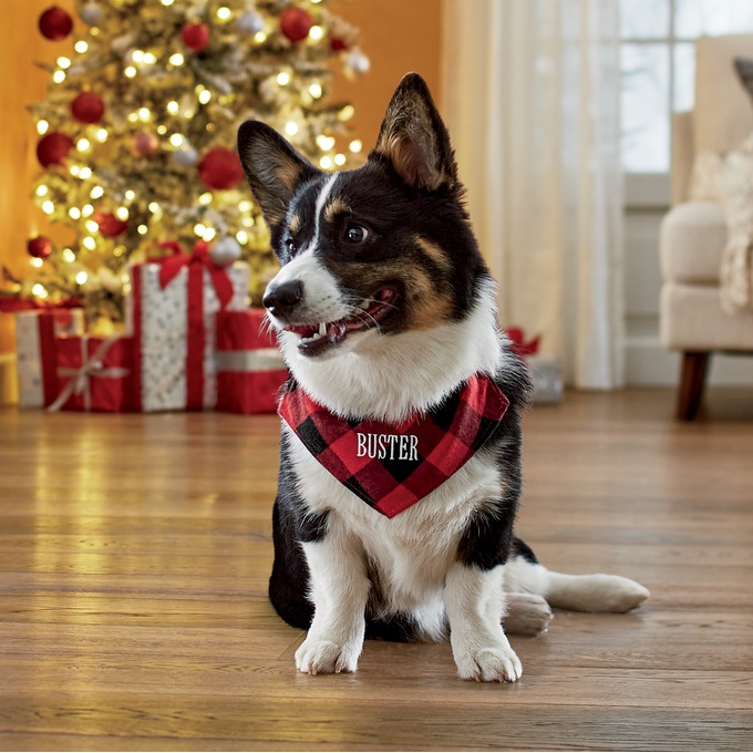 Pet Bandana, , large