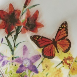 Butterfly Dinnerware Set and Canister Set, , large