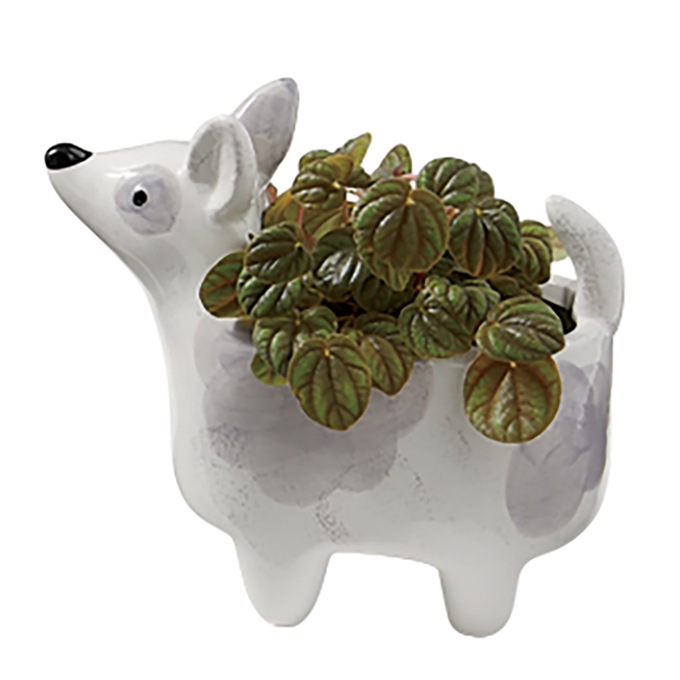 Mini Dog Planter, , large