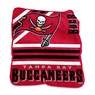 NFL Raschel Plush Throw, , large