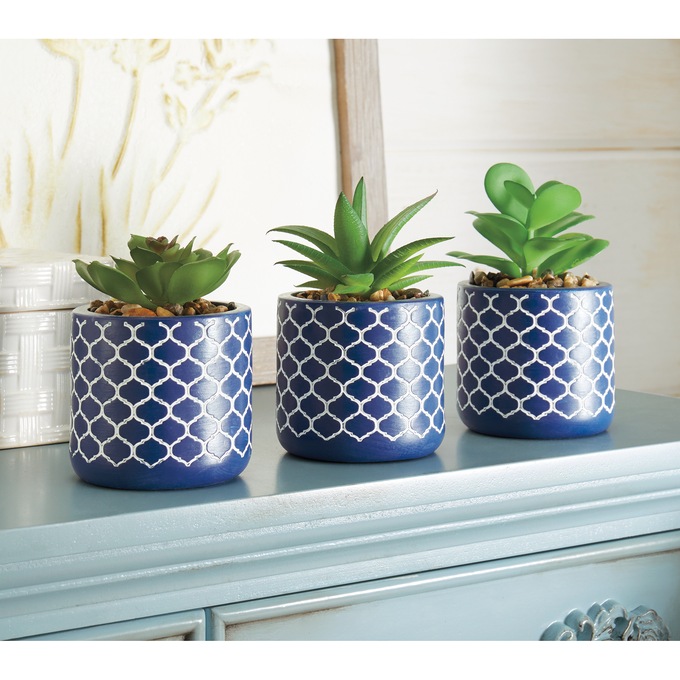 Set of 3 Succulents in Blue Pots, , large