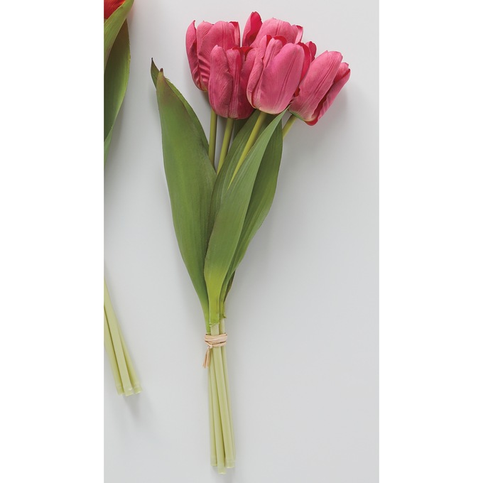 Tulip Stems, Magenta, large