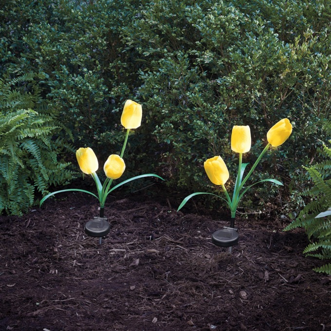 Set of 2 Solar Tulip Lights, , large