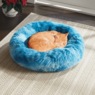 Calming Pet Bed, , large