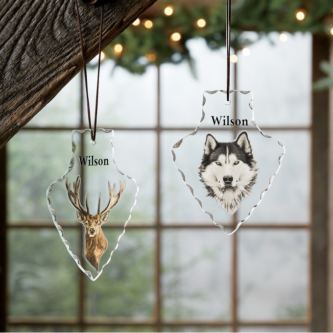 Arrowhead Suncatcher, , large