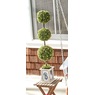 Lit Boxwood Topiary, , large