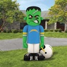 NFL  Inflatable Steinbacker, , large