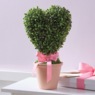 Heart Topiary, , large