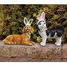 Kitty or Puppy with Bunny Ears, , large