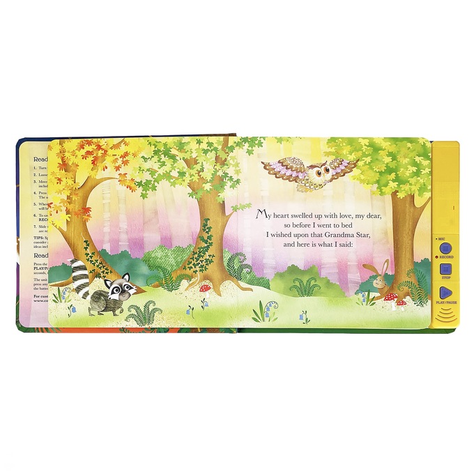 Grandma Wishes Recordable Keepsake, , large