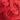 MUK LUKS® Frida Scuff, Poppy, swatch
