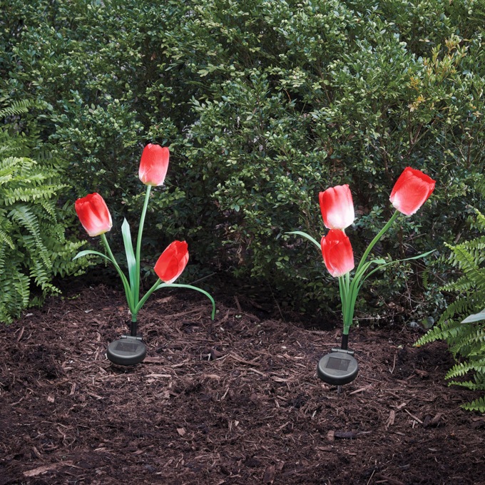 Set of 2 Solar Tulip Lights, , large
