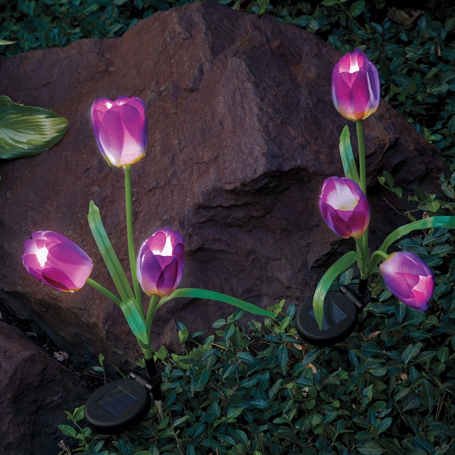 Set of 2 Solar Tulip Lights | Swiss Colony