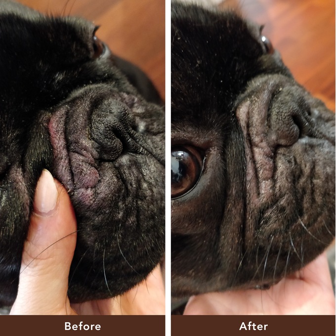 Natural dog top wrinkle balm