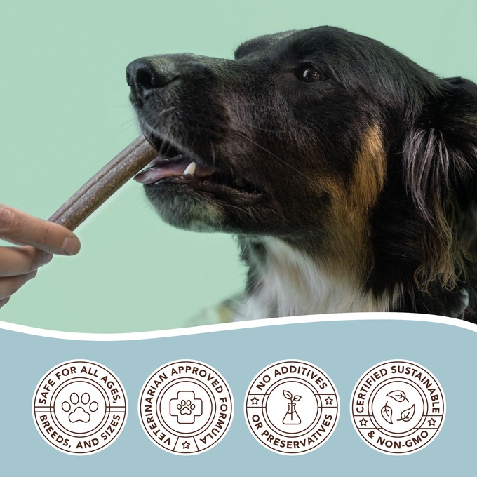 Natural Dog Company Premium Dental Treats for Dogs, , large