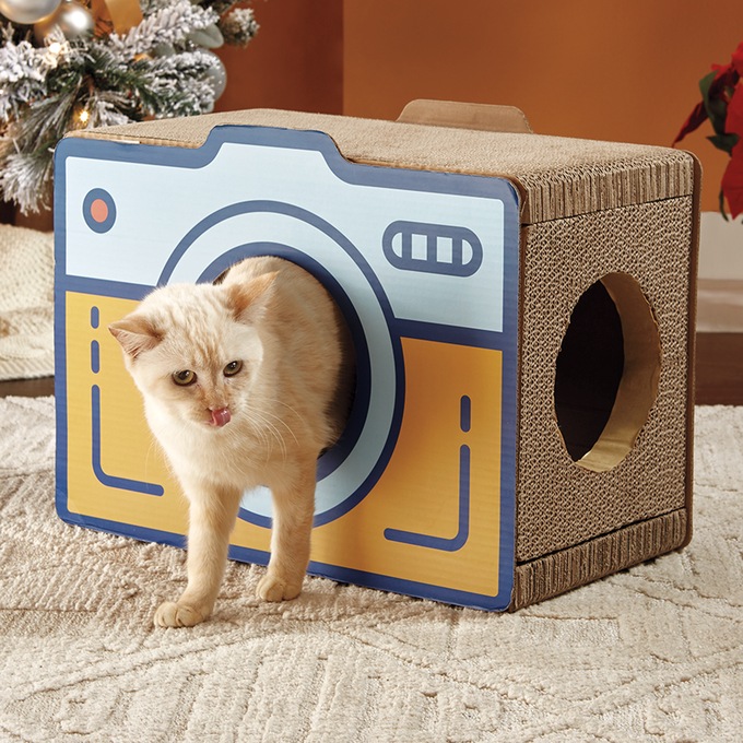 Camera Cat Scratcher, , large