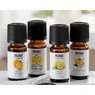 Essential Oils, , large